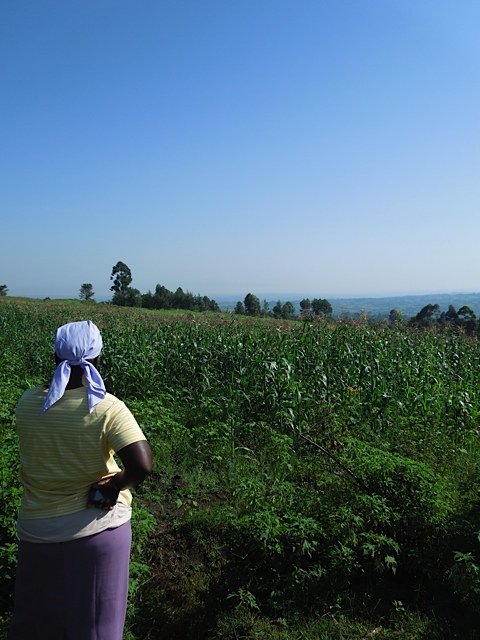 Help Build a Trade School for Youth in Rural Kenya