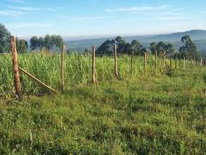 More land for polytechnic