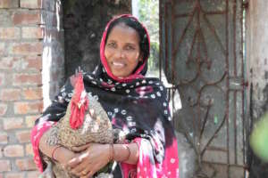 Sabera with her prize cockerel