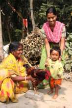 PDS is largely taken up by women