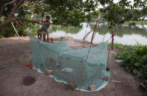 Photo by Garlinda Birkbeck, West Bengal 2015