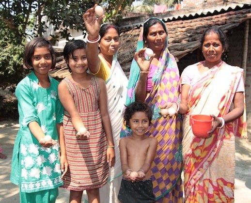 Empowering India's Rural Poor through Poultry