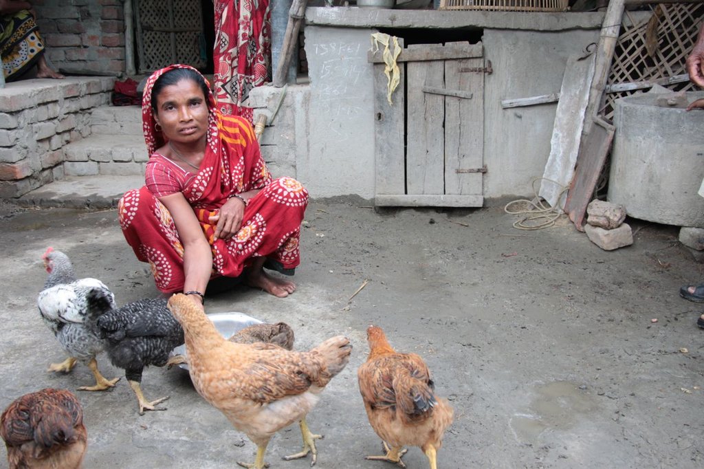 Empowering India's Rural Poor through Poultry