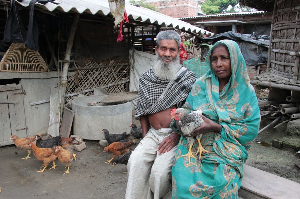 Empowering India's Rural Poor through Poultry