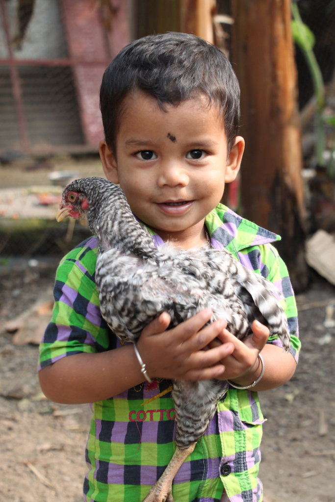 Young child holding hen
