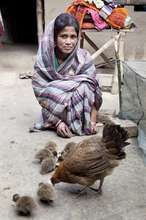 Transforming lives through poultry