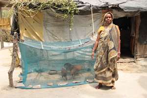 Woman poultry farmer in West Bengal