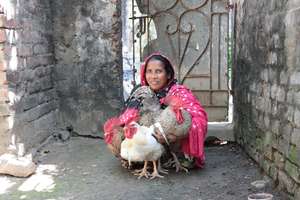 Lady farmer proudly holds her cockrel