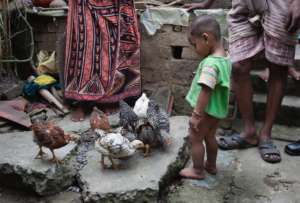 Photo by Garlinda Birkbeck, West Bengal 2015