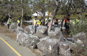 Bags, bags, bags! Awaiting pickup along Imperial