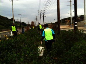 Volunteers at Trees to the Sea w/ litter buckets