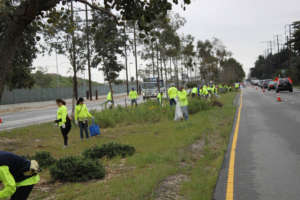 Trees to the Sea Cleanup during Arbor Day 2016