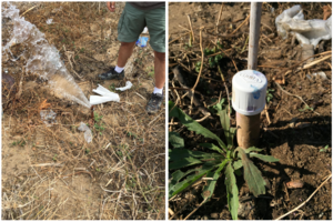 Capping broken lines