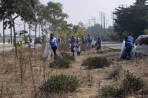 Make a Difference Day event at Trees to the Sea