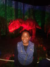 Dinosaur Show