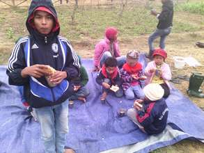 Special holiday picnic to celebrate the new year