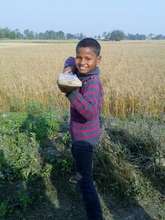 One of our pro batsmen