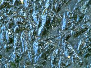 Close up of unatural green mud.jpg