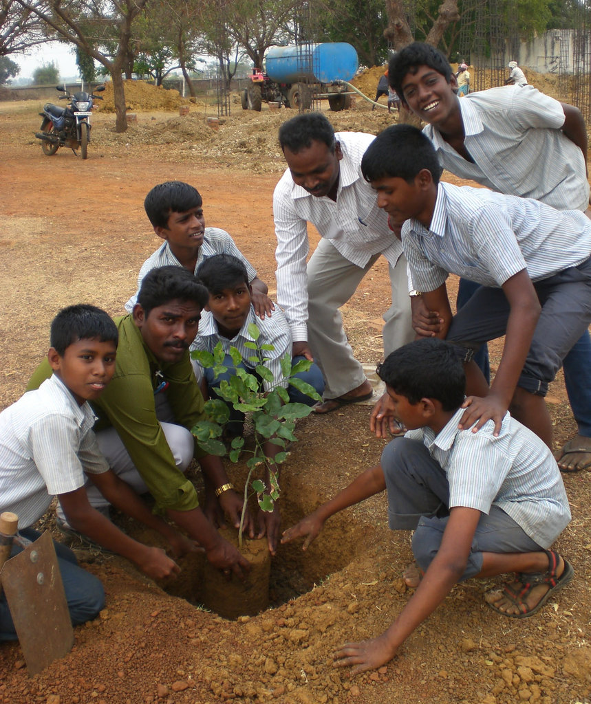 Provide 1000 plants to school planting program