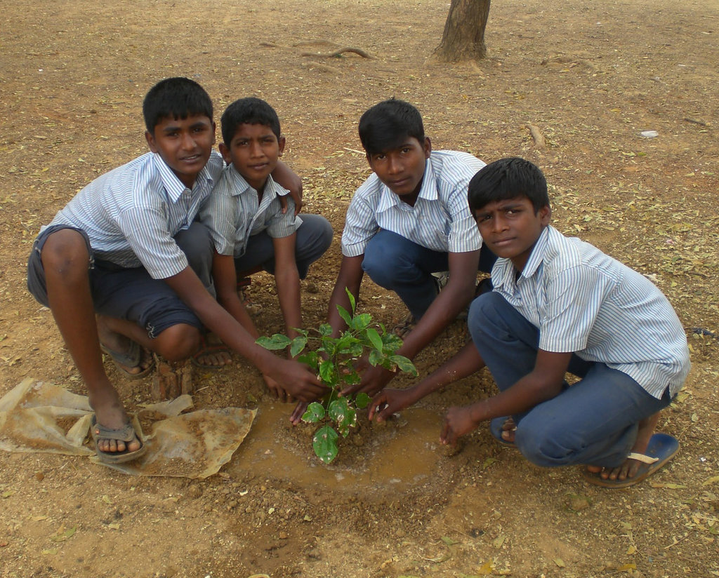 Provide 1000 plants to school planting program