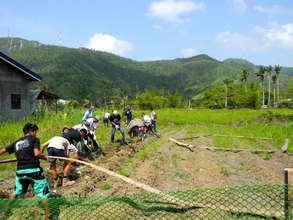 The first community garden