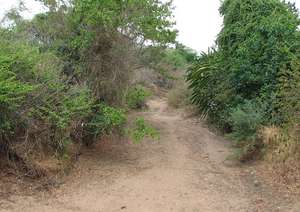 On the approach road to Mnukwa