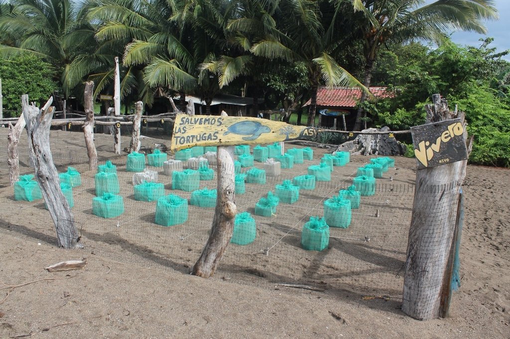 the hatchery filling up