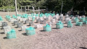 the hatchery at Buenavista needs shelter