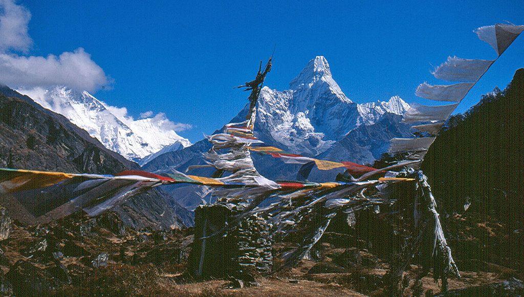 Sherpa Family Fund