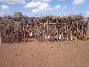 Nomadic Children in existing school