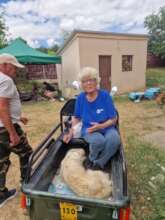 Dog sterilized & vaccinated at mobile campaign