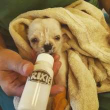 Raducu being fed at Center of Hope upon arrival