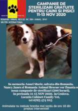 Spayathon in Craiova in memory of Anna Marie