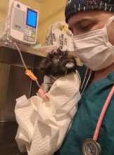 Noel is welcomed into HAH program