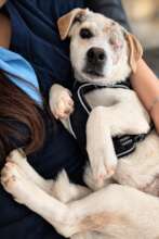 Azorel during healing process