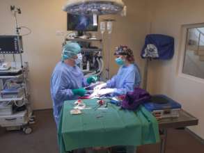 Bella's ligament surgery