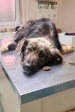 Bono upon arrival at Center of Hope