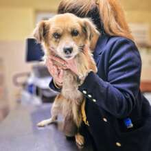 Cherry when she arrived at Center of Hope hospital