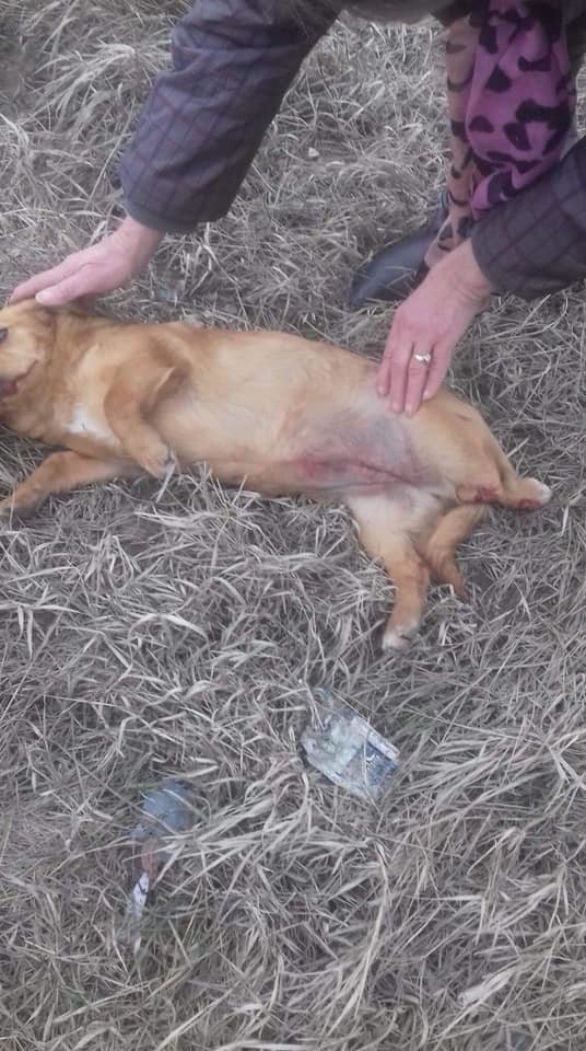 Cleo as she was found