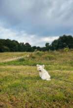 Loving her new great life