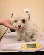 Connie when she arrived at Center of Hope