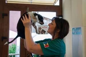 puppy abandoned at gas station