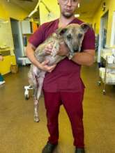 Fetitsa arrives at Center of Hope