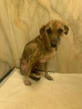 Fetitsa after surgery