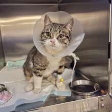 little Tulip says thank you!