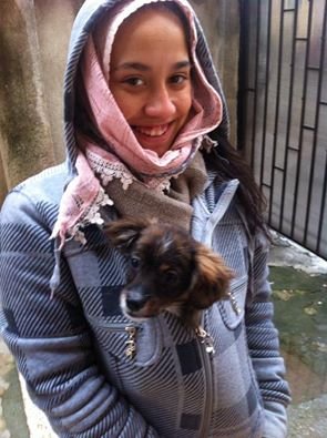 stray found and brought in for vaccines and care