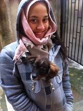 stray found and brought in for vaccines and care