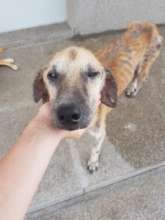 Juliano when he first arrived at COH