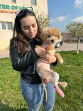 Kid after clipping at Center of Hope