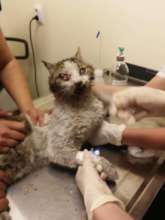 Maiu arrives at Center of Hope